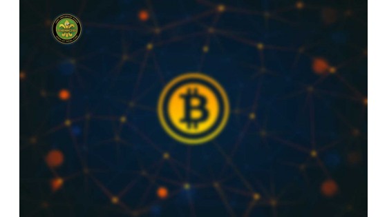 BitCoin (BTC) & VIP-SEEDS