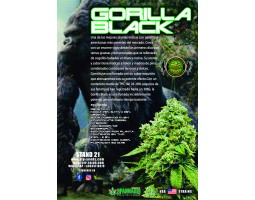 GORILLA GLUE