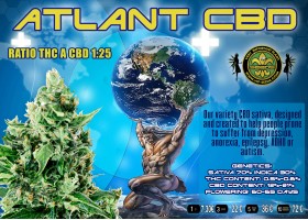 ATLANT CBD