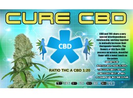 CURE CBD