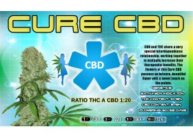 CURE CBD