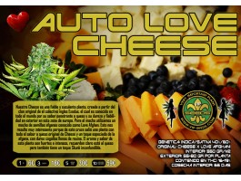 AUTO LOVE PEACE   (was AUTO CHEESE)