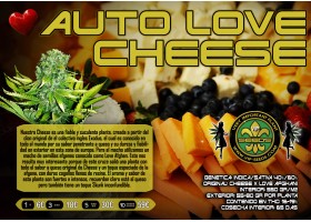 AUTO LOVE PEACE   (was AUTO CHEESE)