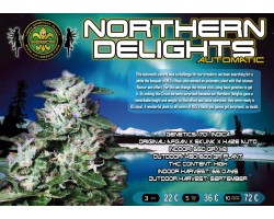 NORTHERN DELIGHTS Auto