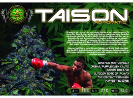 TAISON AUTO