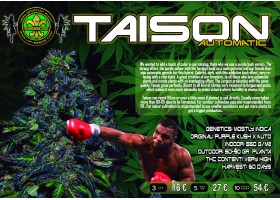 TAISON AUTO