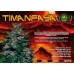 Timanfaya Auto
