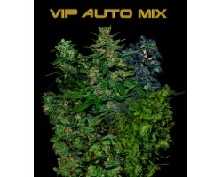 VIP AUTO MIX