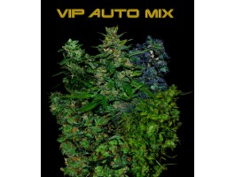 VIP AUTO MIX