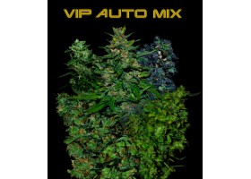 VIP AUTO MIX