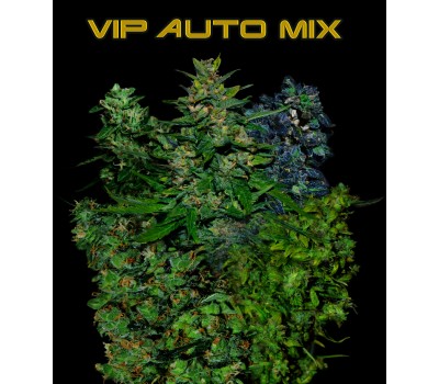 VIP AUTO MIX