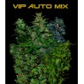 VIP AUTO MIX