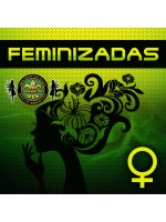 FEMINIZADAS