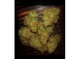 AMNESIA VIP