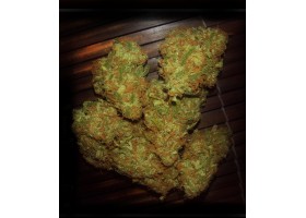 AMNESIA VIP