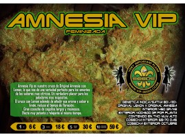 AMNESIA VIP