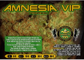 AMNESIA VIP