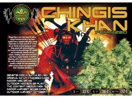  CHINGIS KHAN