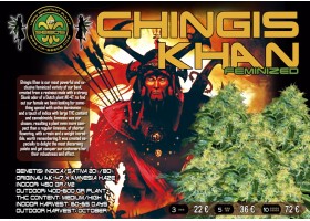  CHINGIS KHAN