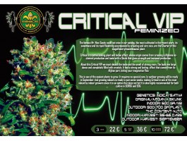 CRITICAL VIP