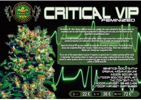 CRITICAL VIP