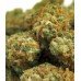 INDIAN KUSH
