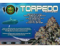 TORPEDO