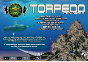 TORPEDO