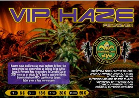 VIP HAZE