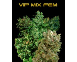 VIP MIX FEM