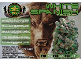 WHITE SPANISH