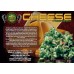 LOVE PEACE    (was VIP CHEESE)