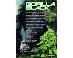 GORILLA GLUE