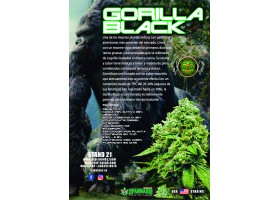 GORILLA GLUE