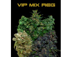 VIP REGULAR MIX