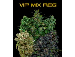 VIP REGULAR MIX