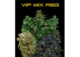 VIP REGULAR MIX