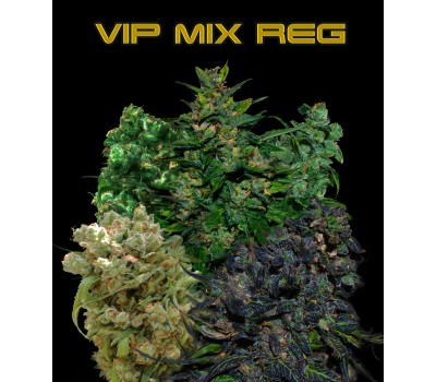 VIP REGULAR MIX
