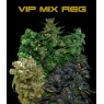 VIP REGULAR MIX