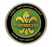 VIP SEEDS